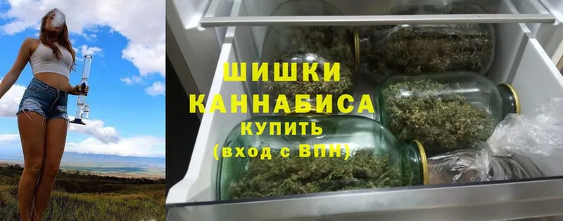 Каннабис SATIVA & INDICA  где найти наркотики  Александровск-Сахалинский 